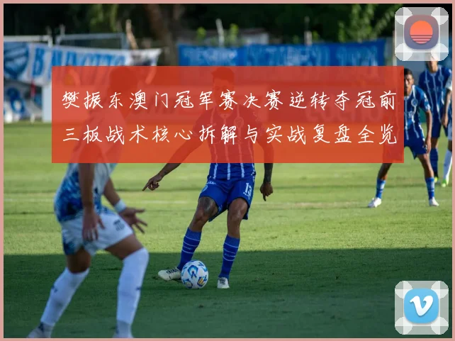 樊振东澳门冠军赛决赛逆转夺冠前三板战术核心拆解与实战复盘全览