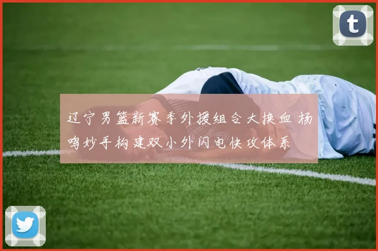 辽宁男篮新赛季外援组合大换血 杨鸣妙手构建双小外闪电快攻体系